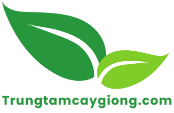 Trung Tâm Cây Giống Việt Nam